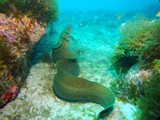 Pousada em Fernando de Noronha